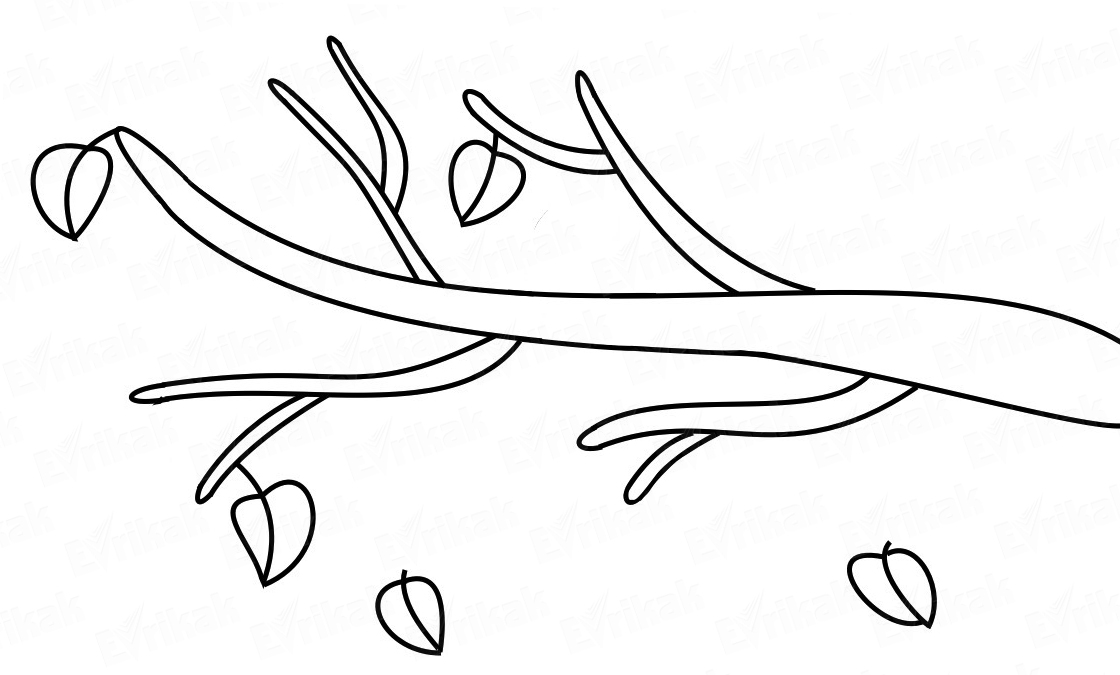 Раскраска «Осенняя ветка с листочками»