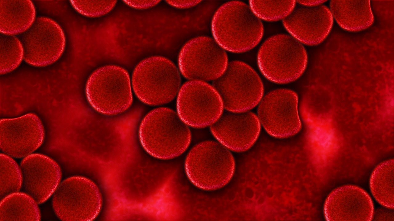 Как повысить гемоглобин в крови: от традиционных до народных методов
