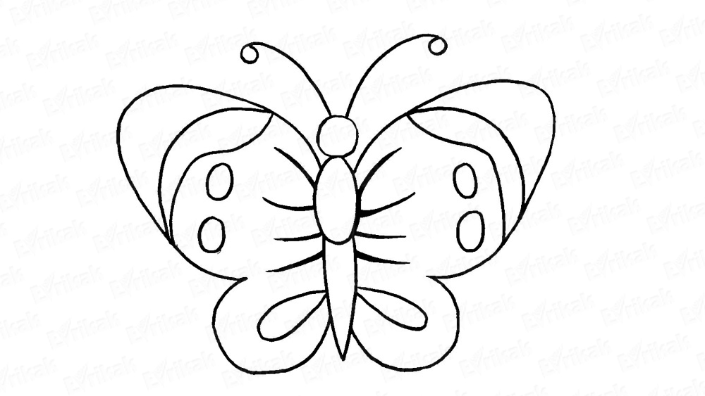 Учимся пошагово рисовать бабочку на бумаге