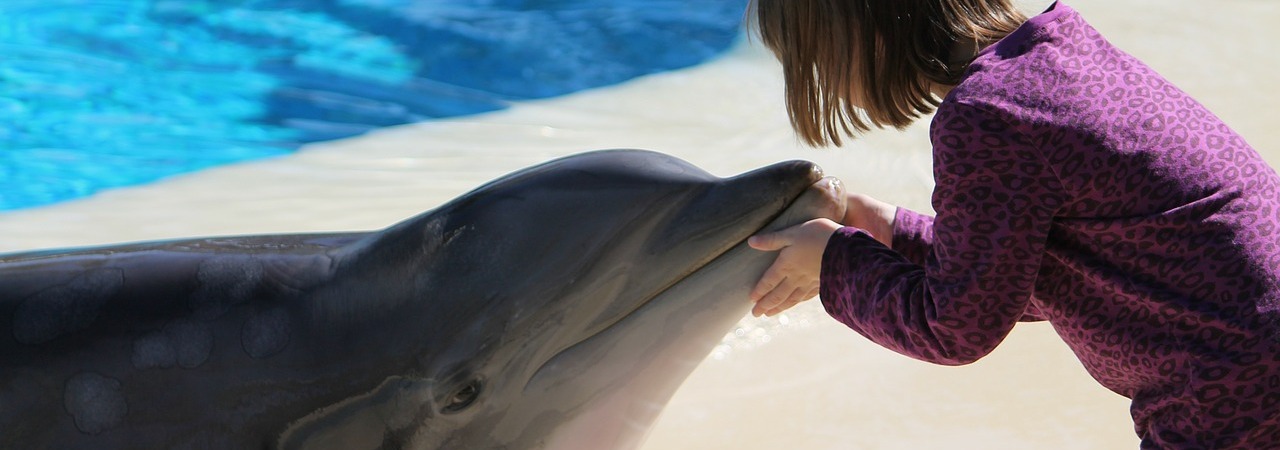 девочка с дельфином