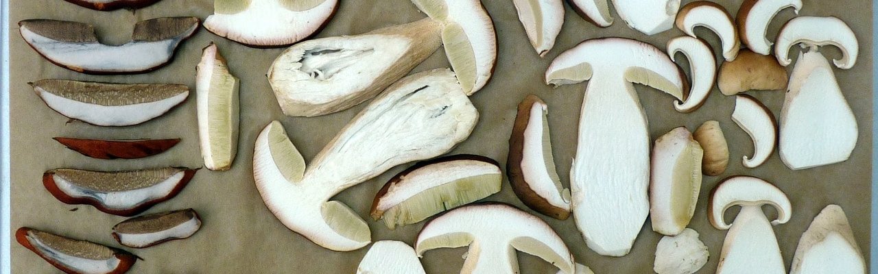сушка грибов