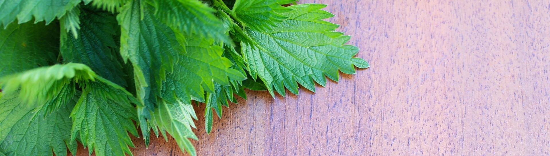 nettle-on-a-wooden-background-799938_1920