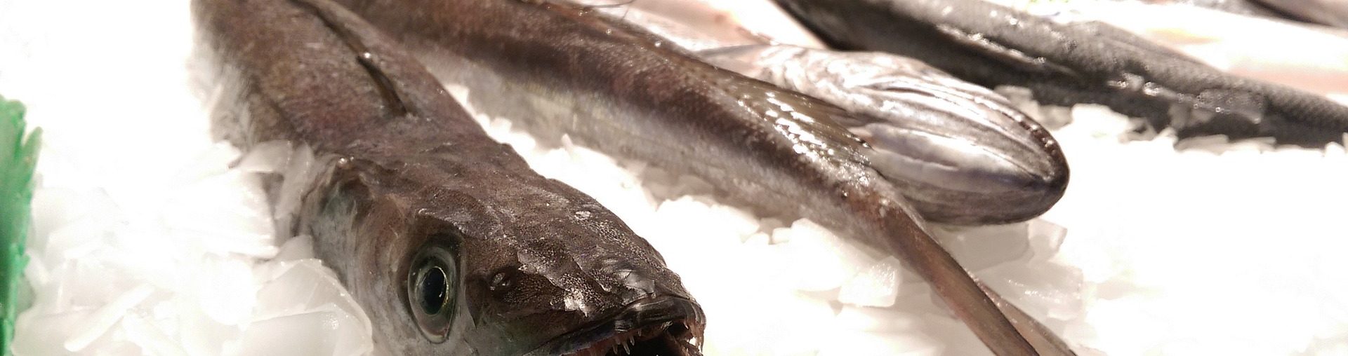 8 советов, которые помогут выбрать свежую рыбу на рынке или в магазине