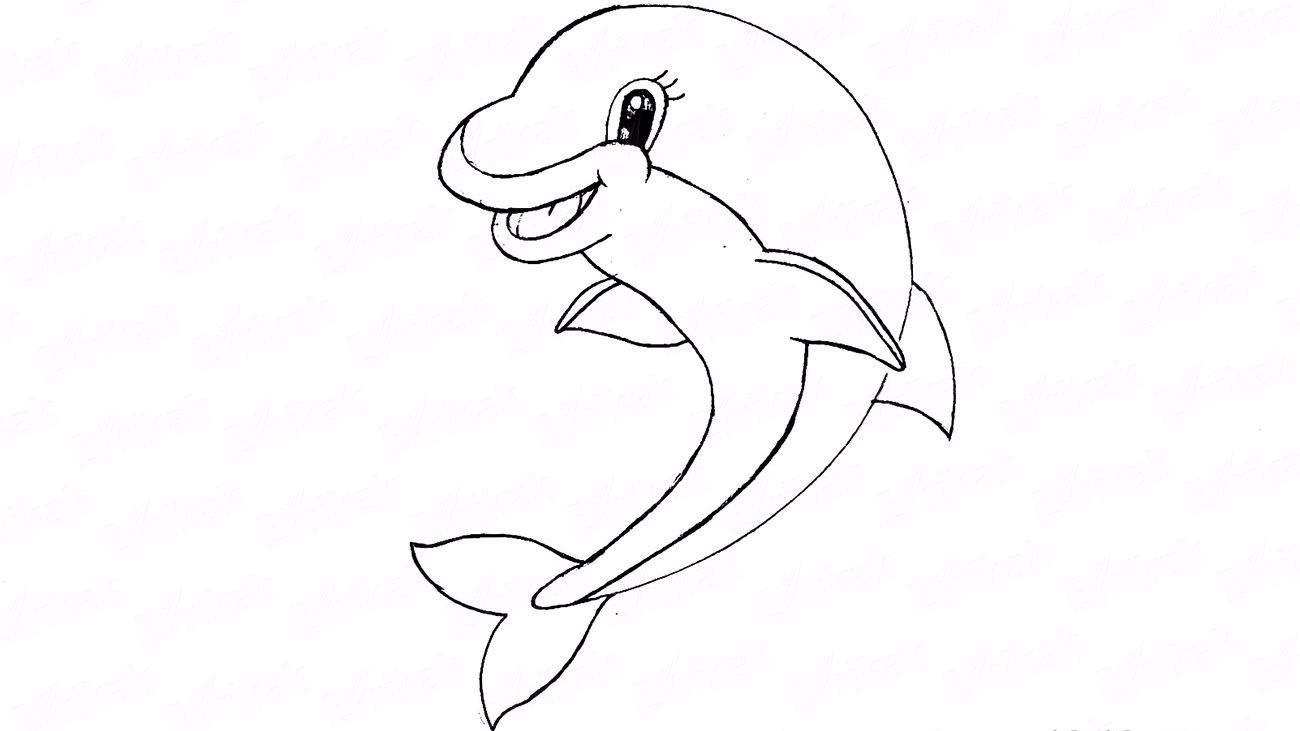 Как поэтапно нарисовать дельфина карандашом
