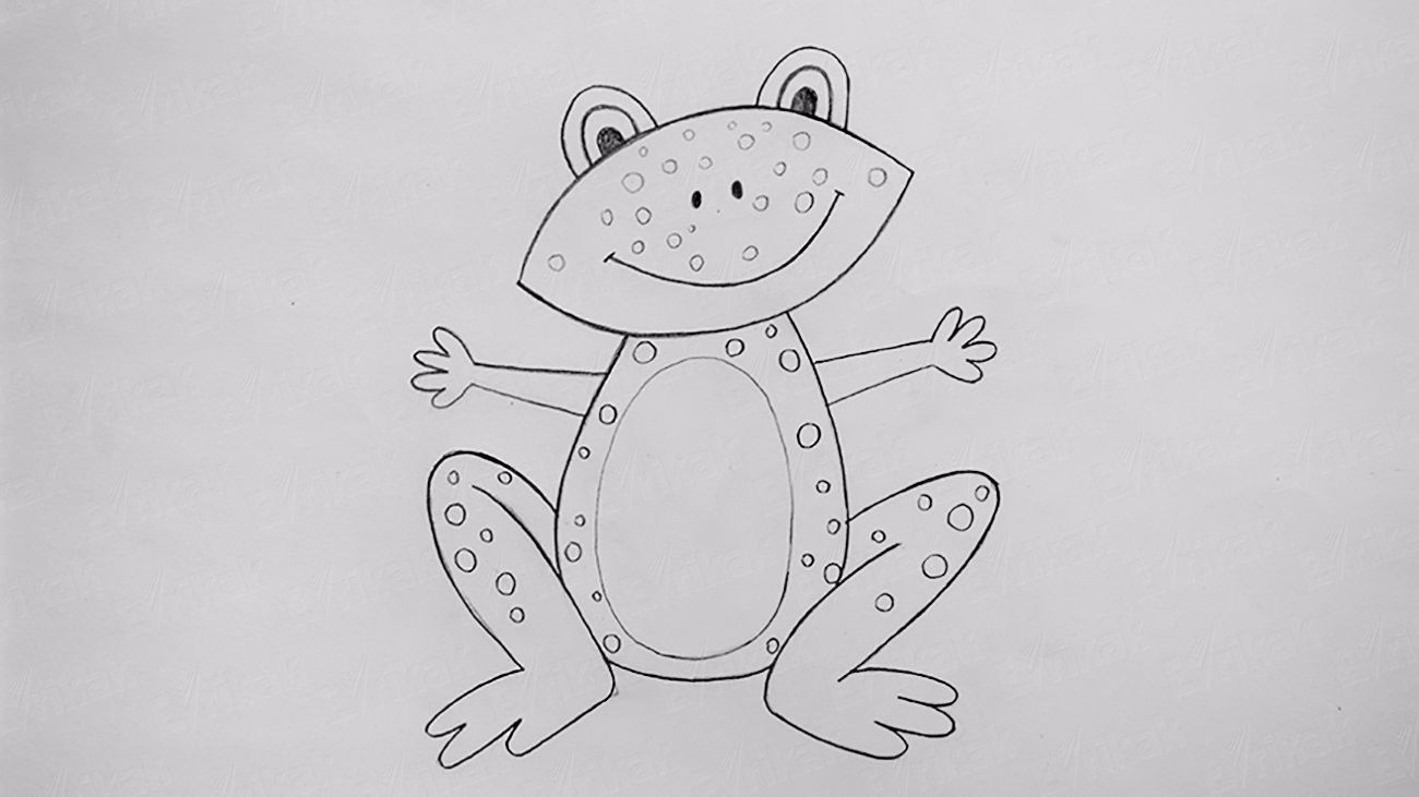 Как поэтапно нарисовать лягушку карандашом