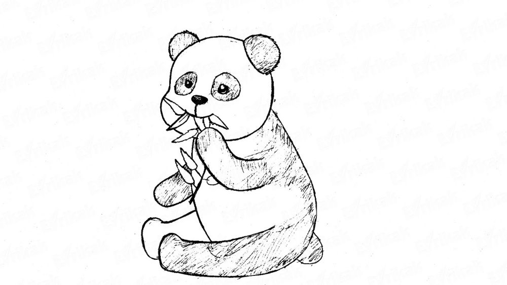 Как карандашом нарисовать маленькую панду