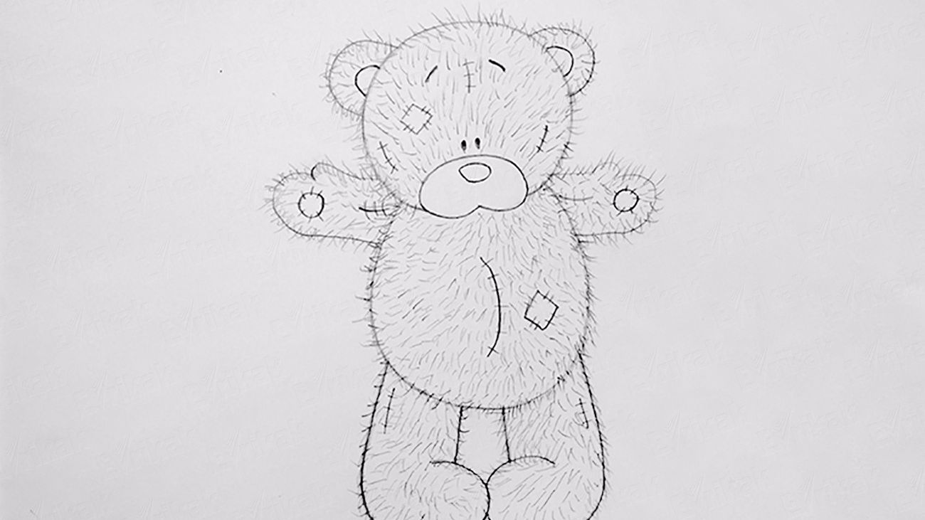 Как поэтапно нарисовать плюшевого мишку Тедди карандашом