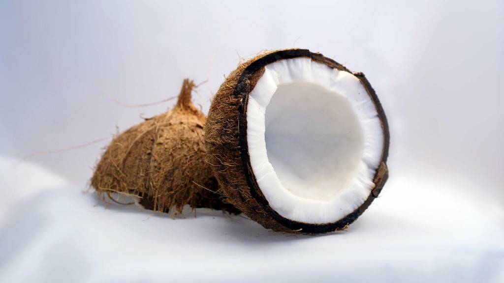 coconut-1125_1280