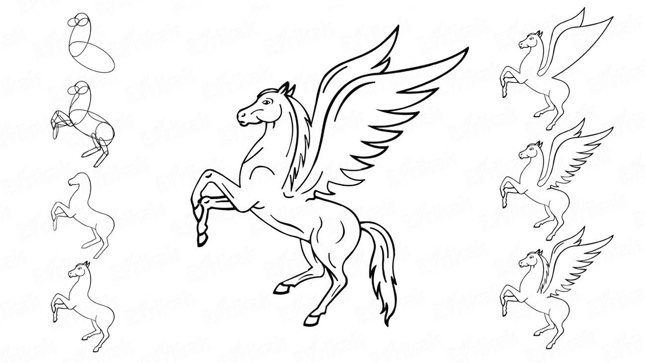 Как нарисовать Пегаса с крыльями поэтапно