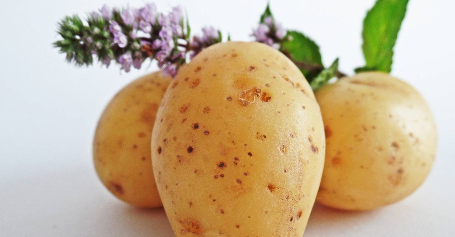 potatoes-448610_1920