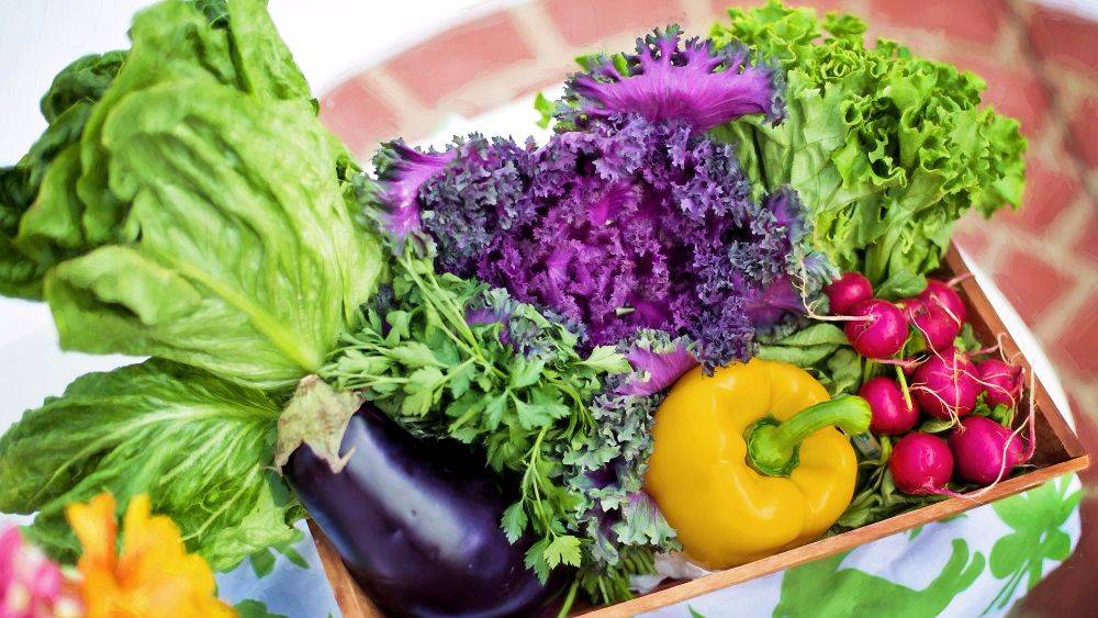 Как приготовить салат из овощей: подбор интересных рецептов
