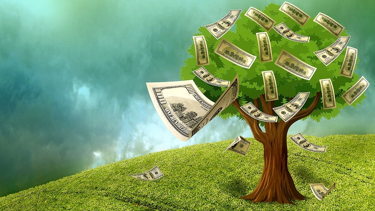 Как посадить денежное дерево