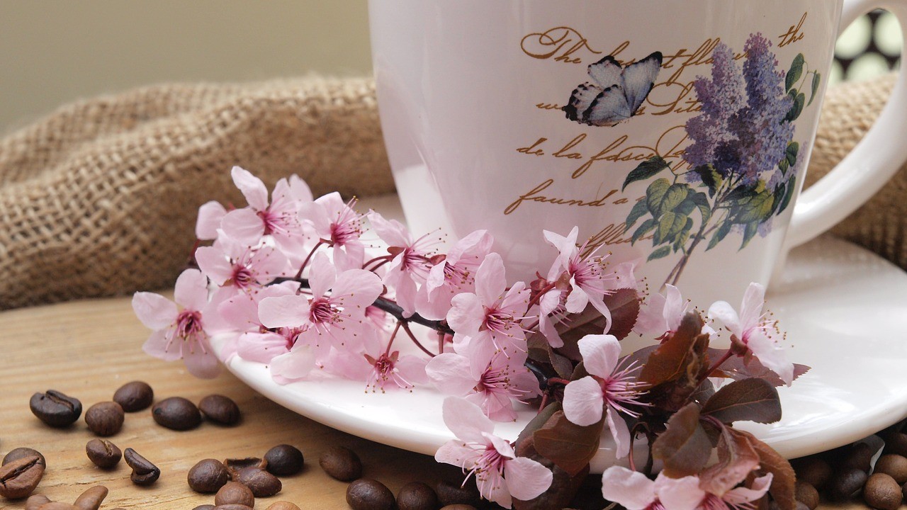 Как использовать кофе в качестве удобрения для цветов