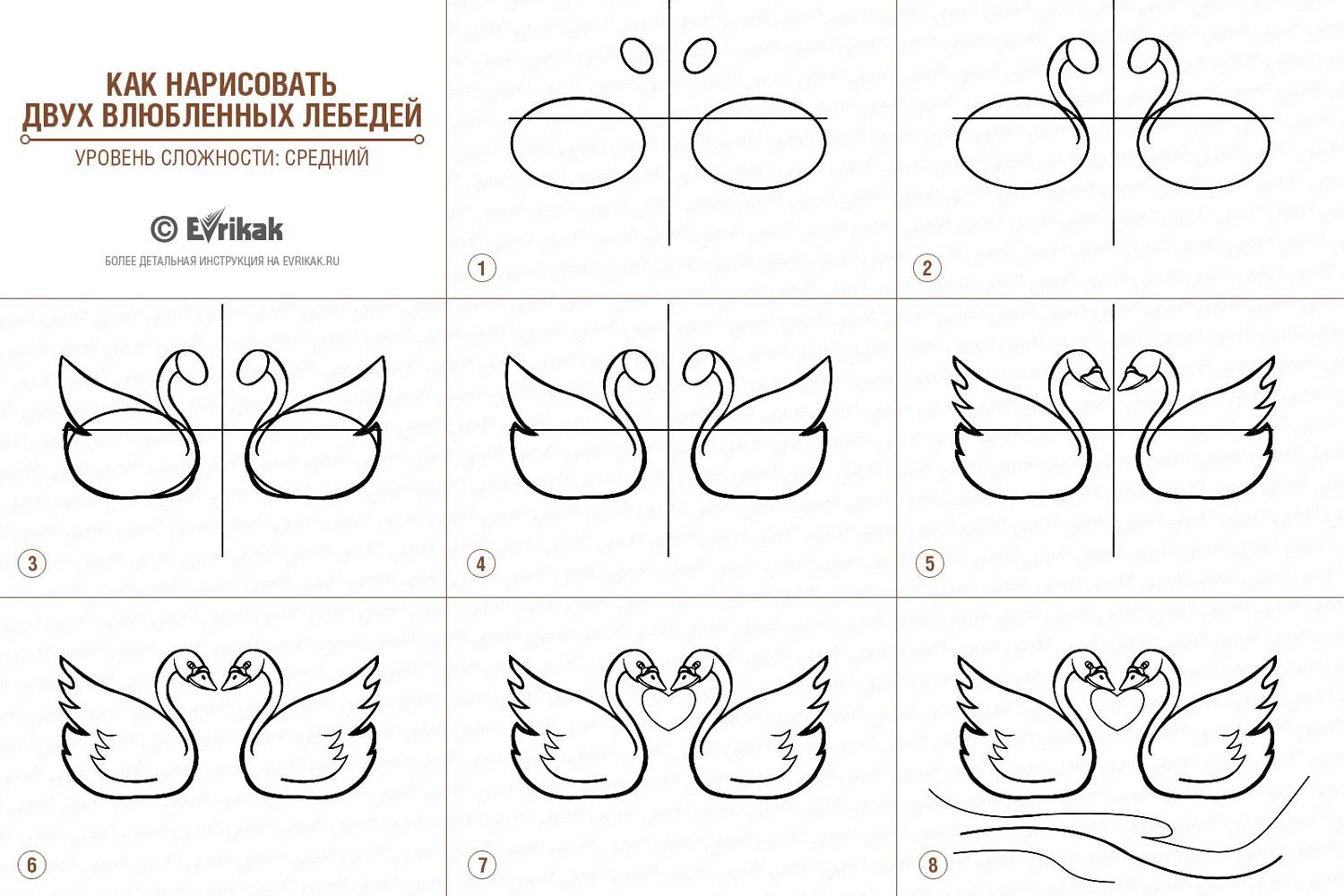 collage_Как нарисовать двух влюбленных лебедей(уровень сложности средний)