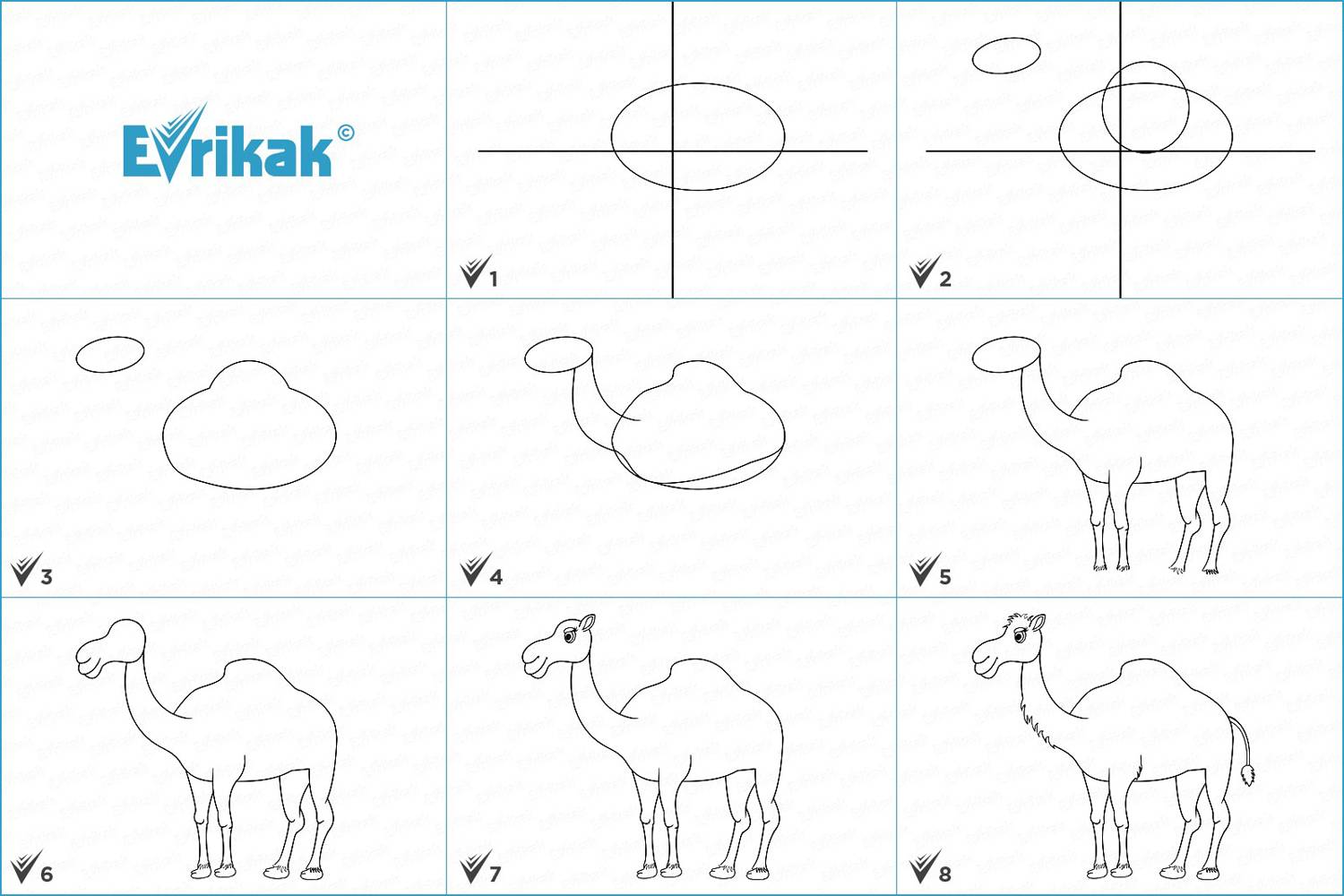 collage_как нарисовать Верблюда для детей