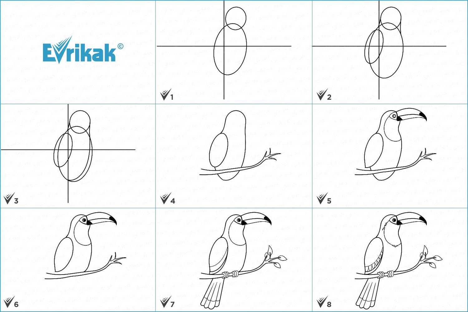 collage_как нарисовать птицу Тукан