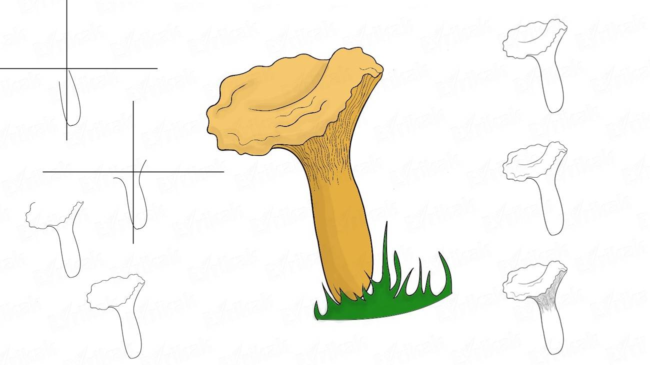 Как нарисовать гриб лисичку