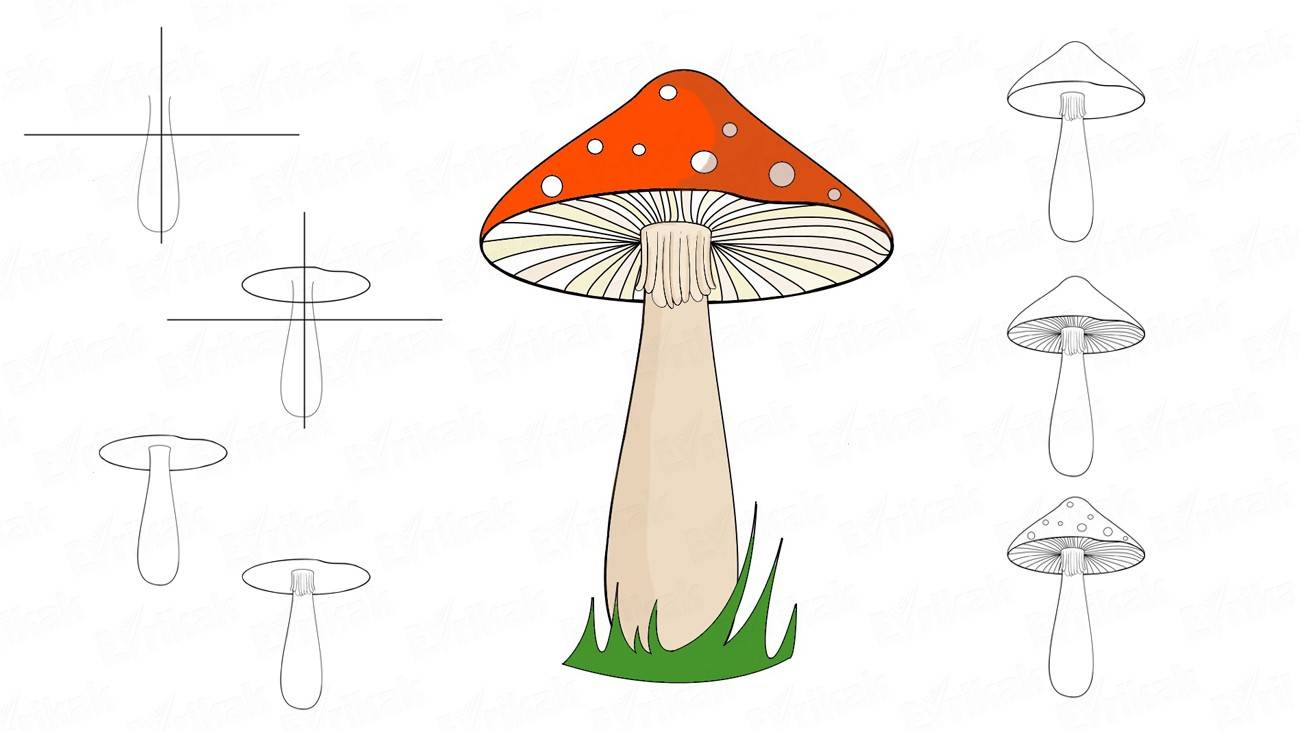 Как нарисовать гриб Мухомор