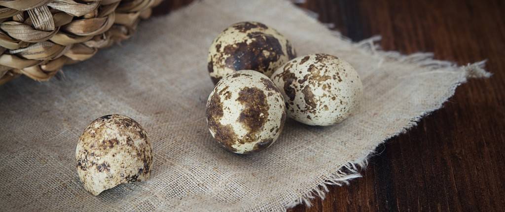 quail-eggs-1247388_1280