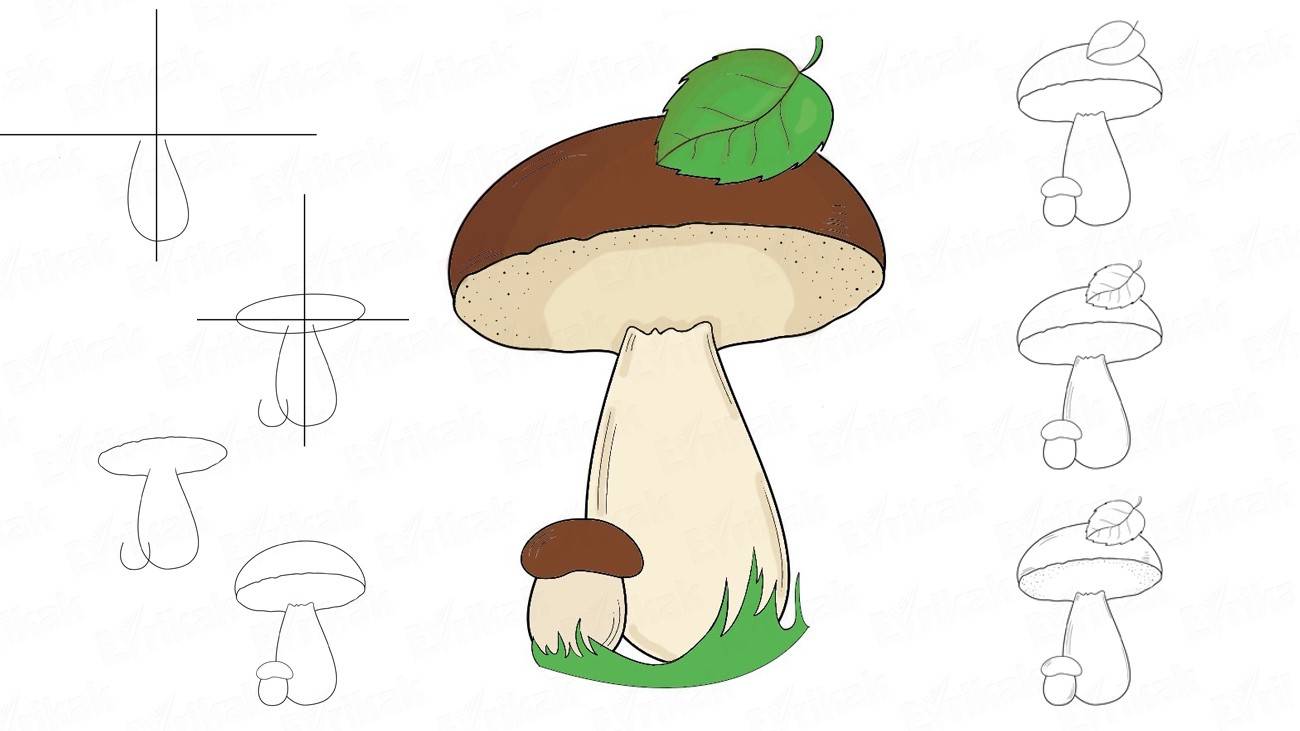 Как поэтапно нарисовать грибы