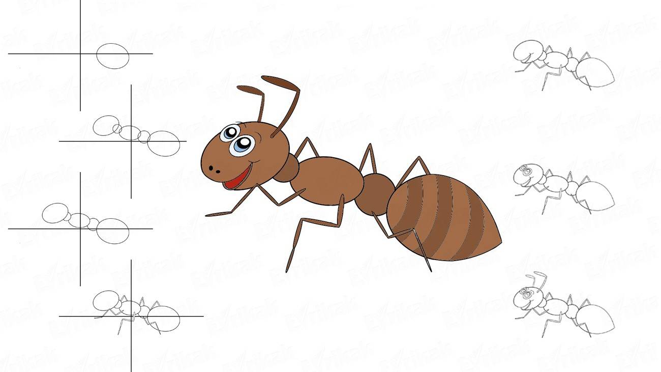 Учимся поэтапно рисовать сказочного муравья ребенку (+ раскраска)