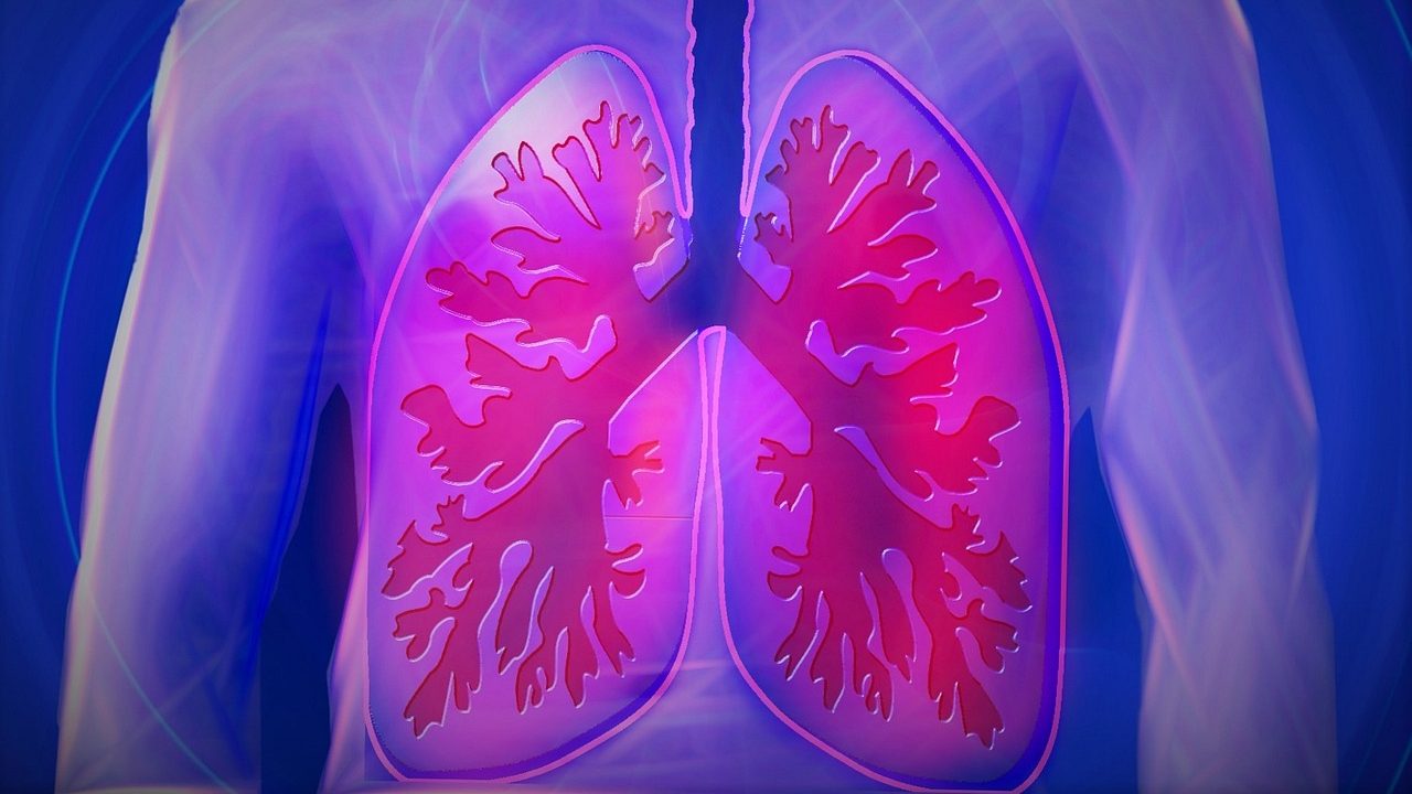 Как определить туберкулез: причины, симптомы, диагностика и профилактика