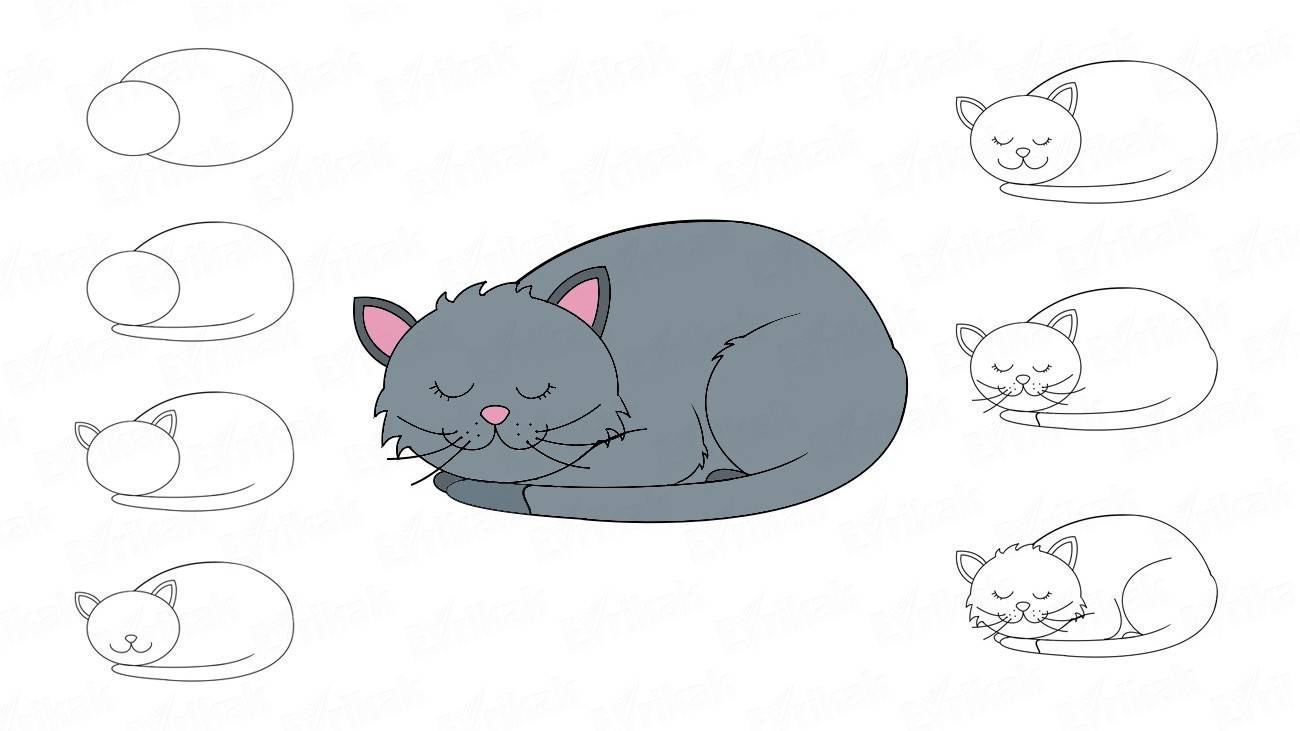 Как нарисовать свернувшегося клубочком кота