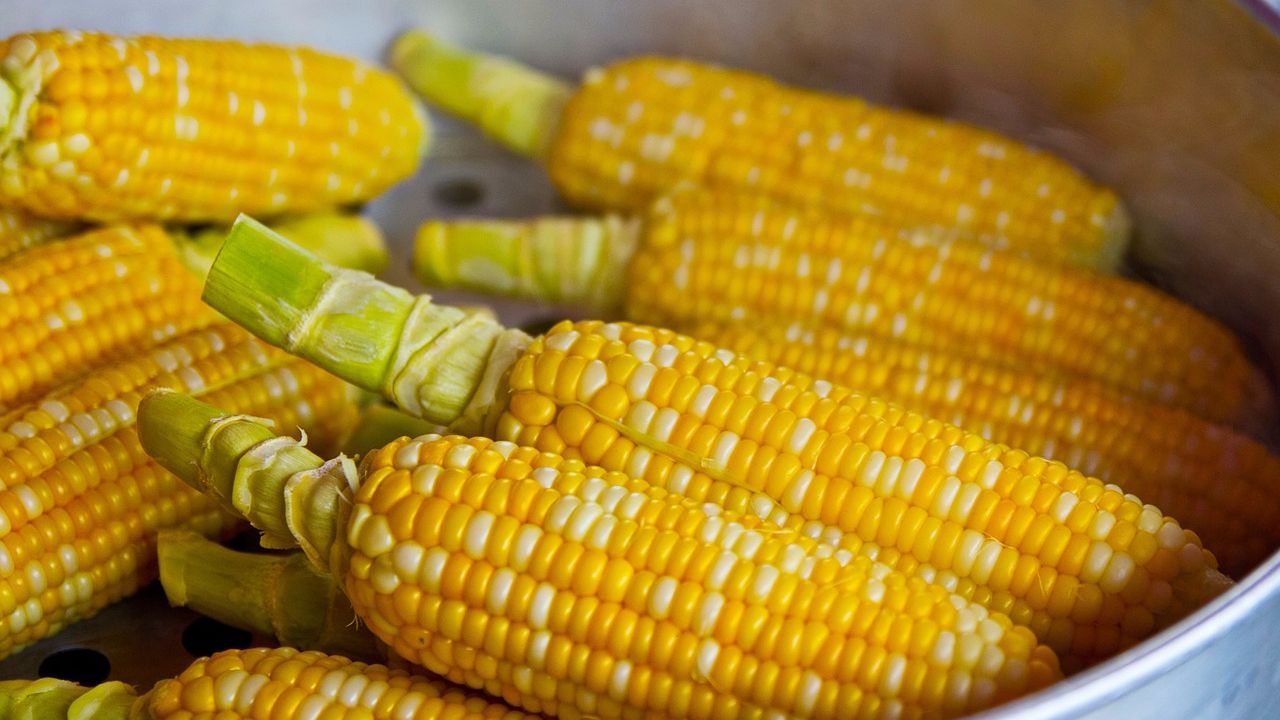 11 способов приготовления кукурузы, о которых вы еще не слышали