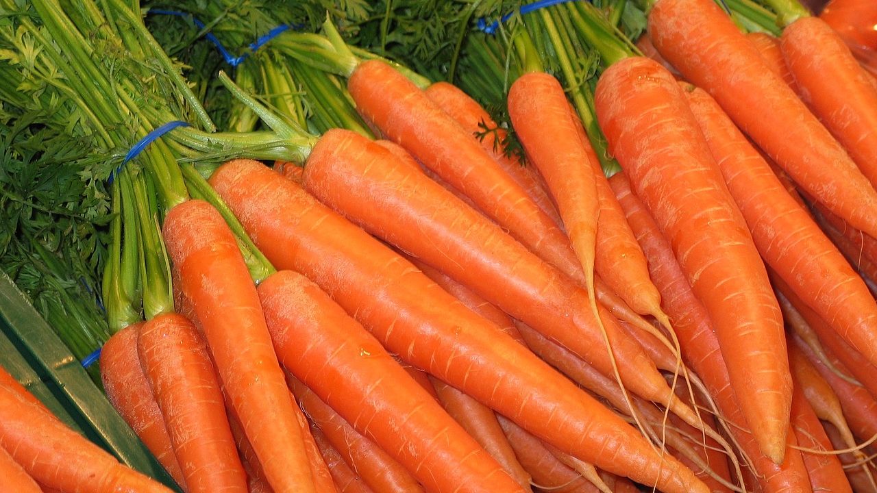 Зимние заготовки из моркови, которых вы никогда не пробовали: варенье, икра, салат и др.