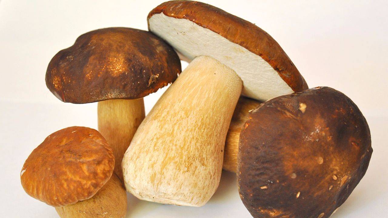 Как мариновать грибы: 5 интересных рецептов