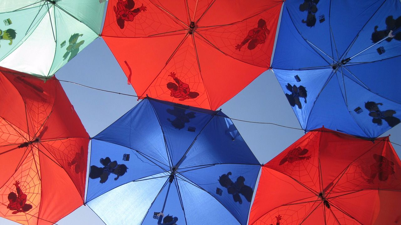 Как по этикету сушить зонт после дождя, и как правильно за ним ухаживать