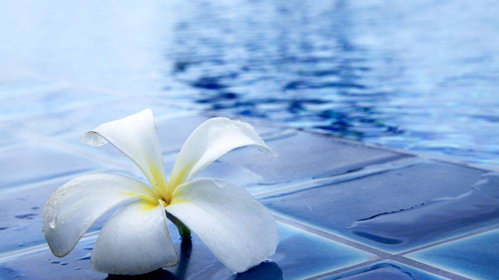 Псориаз и водные процедуры: можно ли ходить в бассейн и баню