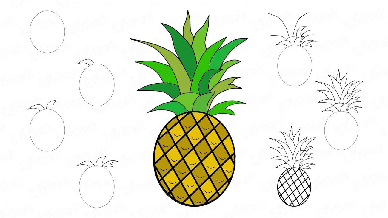 Как поэтапно нарисовать ананас