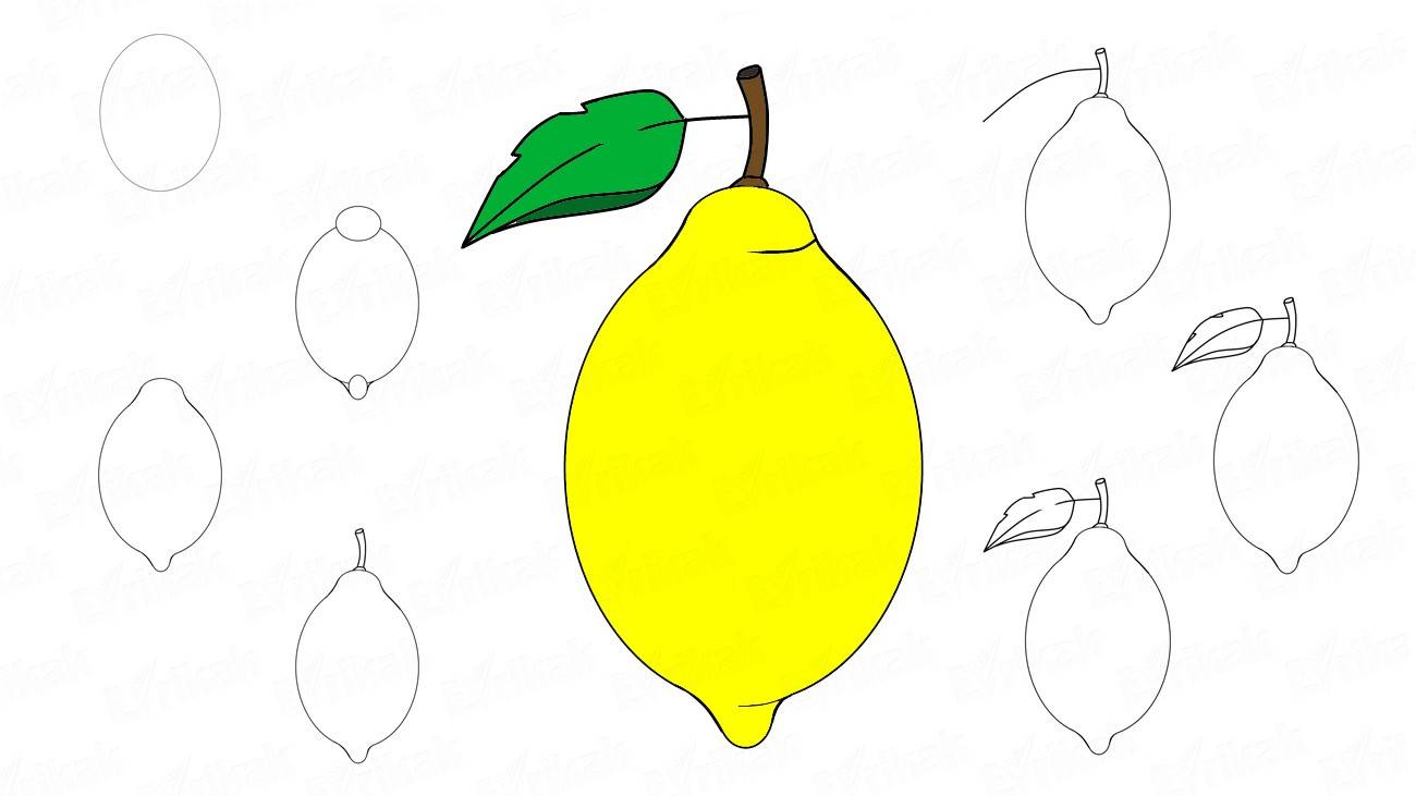 Как нарисовать лимон с листочком (+ раскраска)