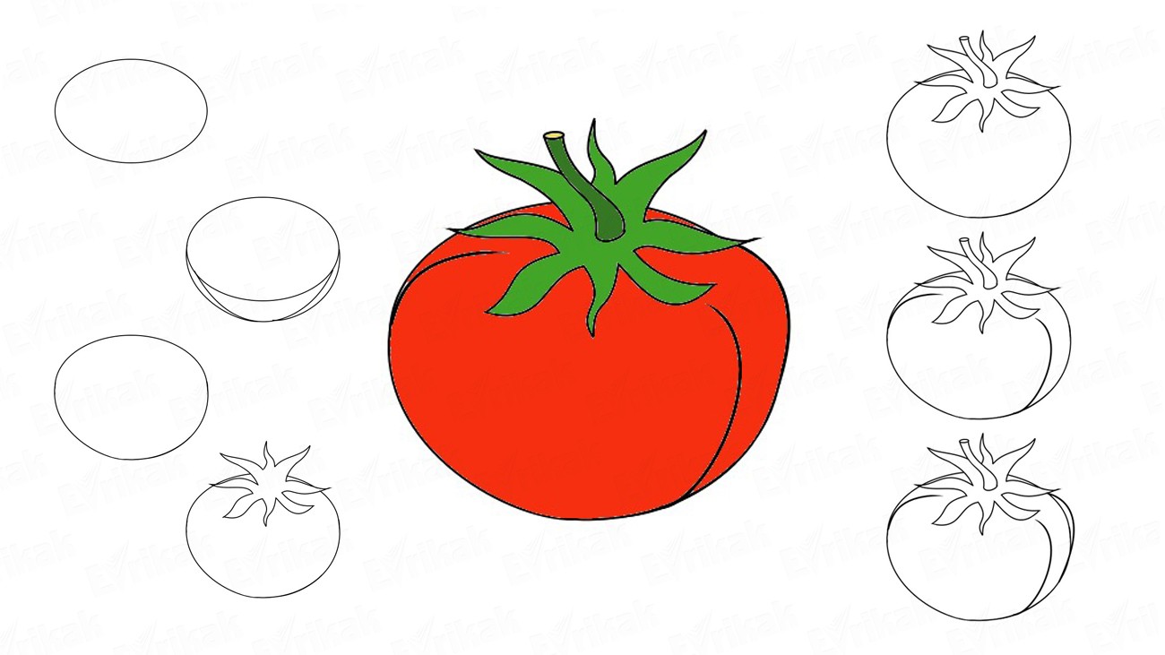 Как поэтапно нарисовать сочный помидор