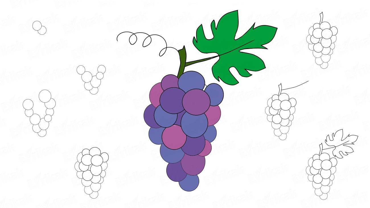 Как нарисовать ветку винограда (+ раскраска)
