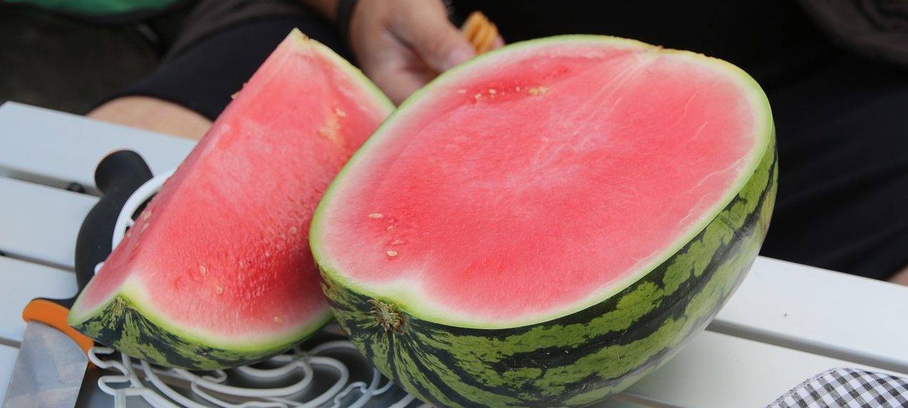 watermelon-1669262_1280