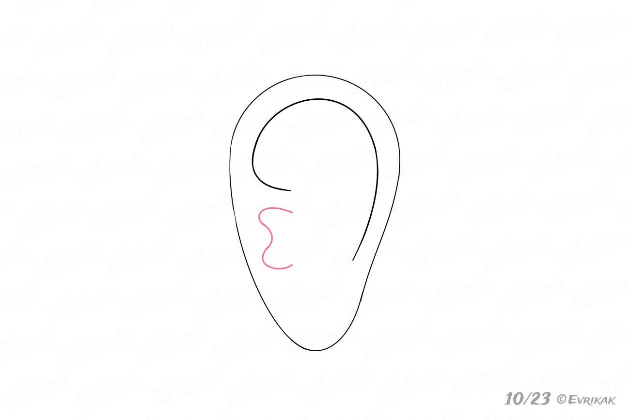 Нижняя деталь уха