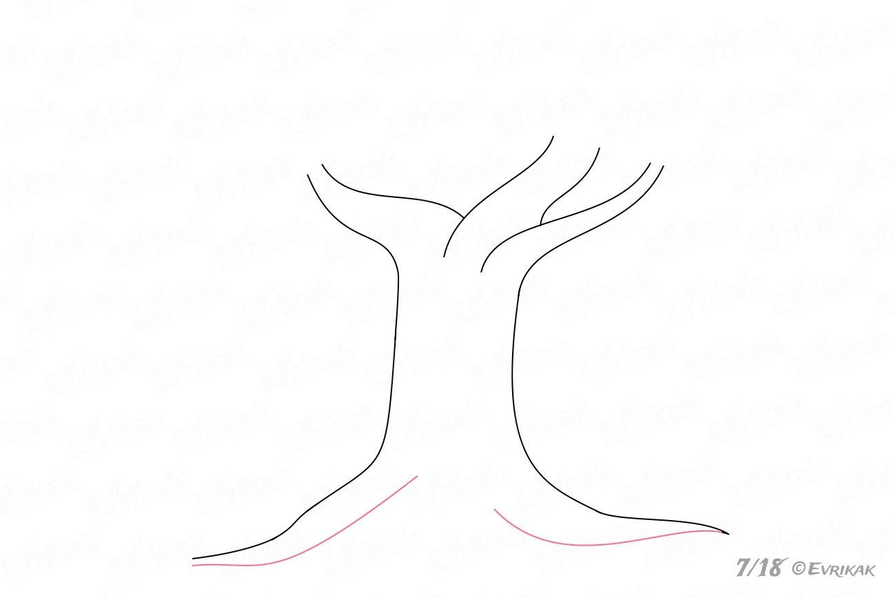 Основные корни дерева
