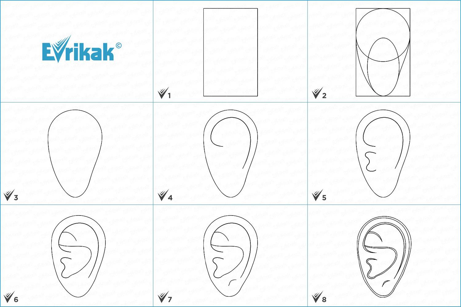 Коллаж с этапами рисования уха