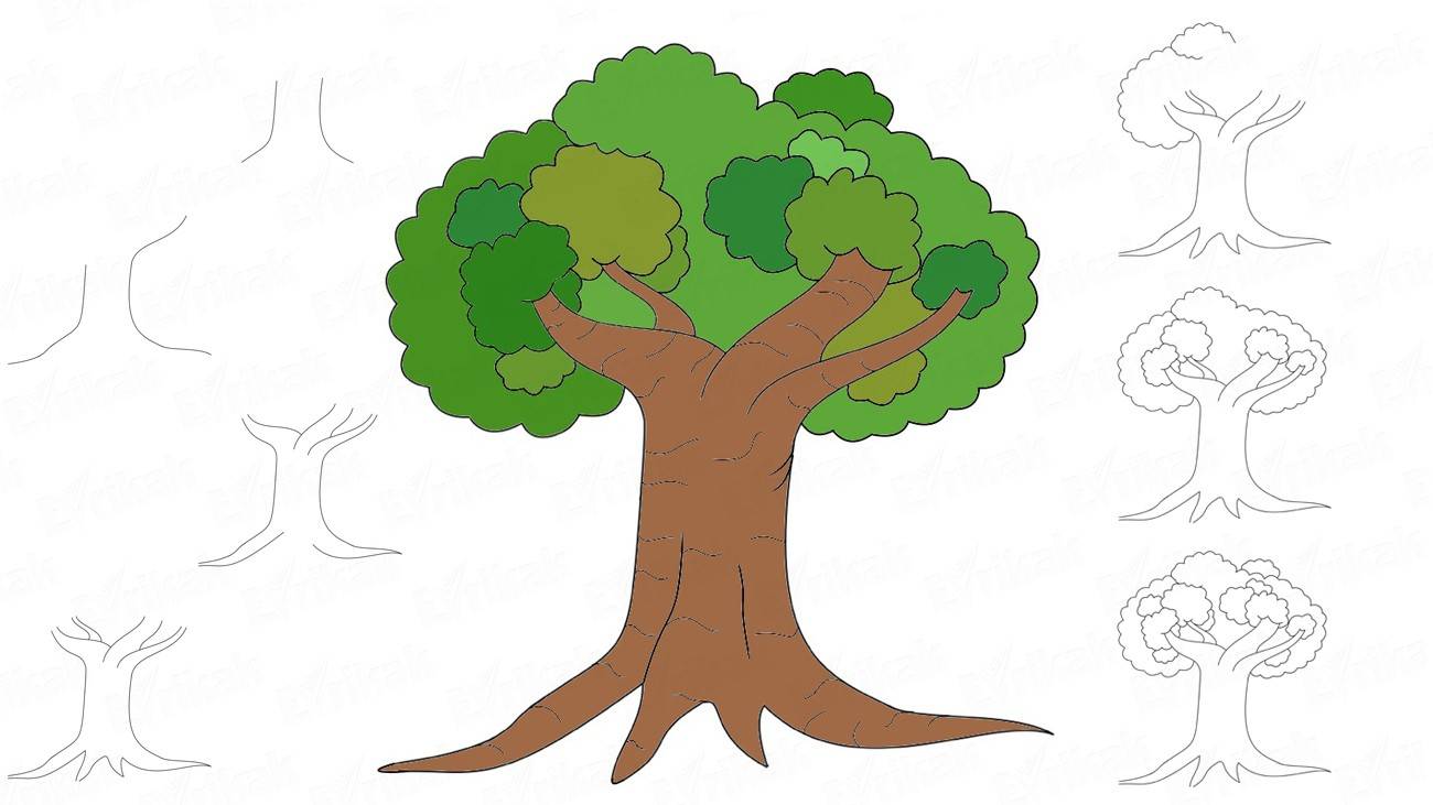 Как нарисовать лиственное дерево