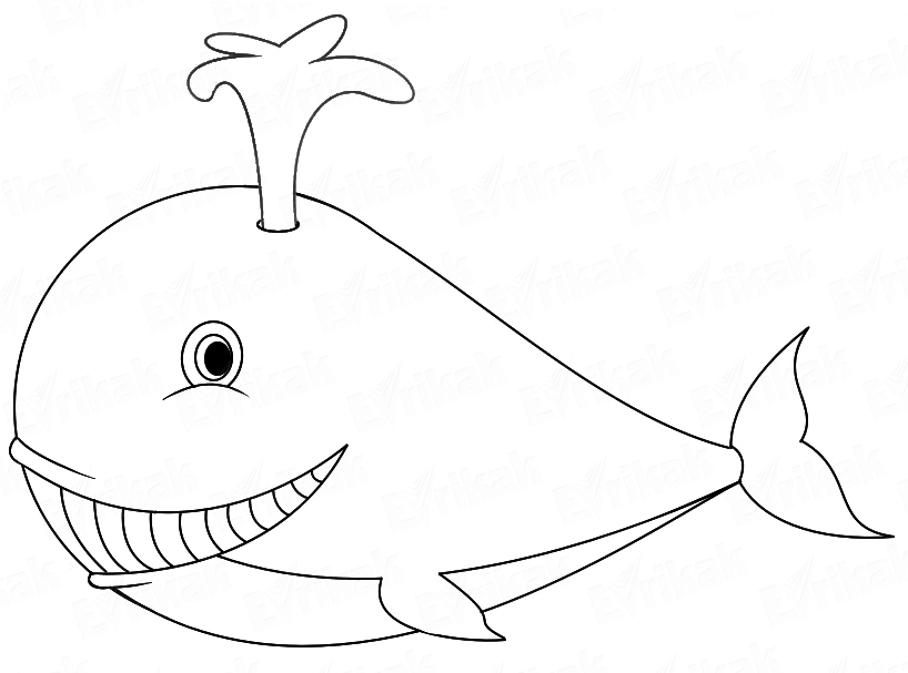 Раскраска Рыба кит