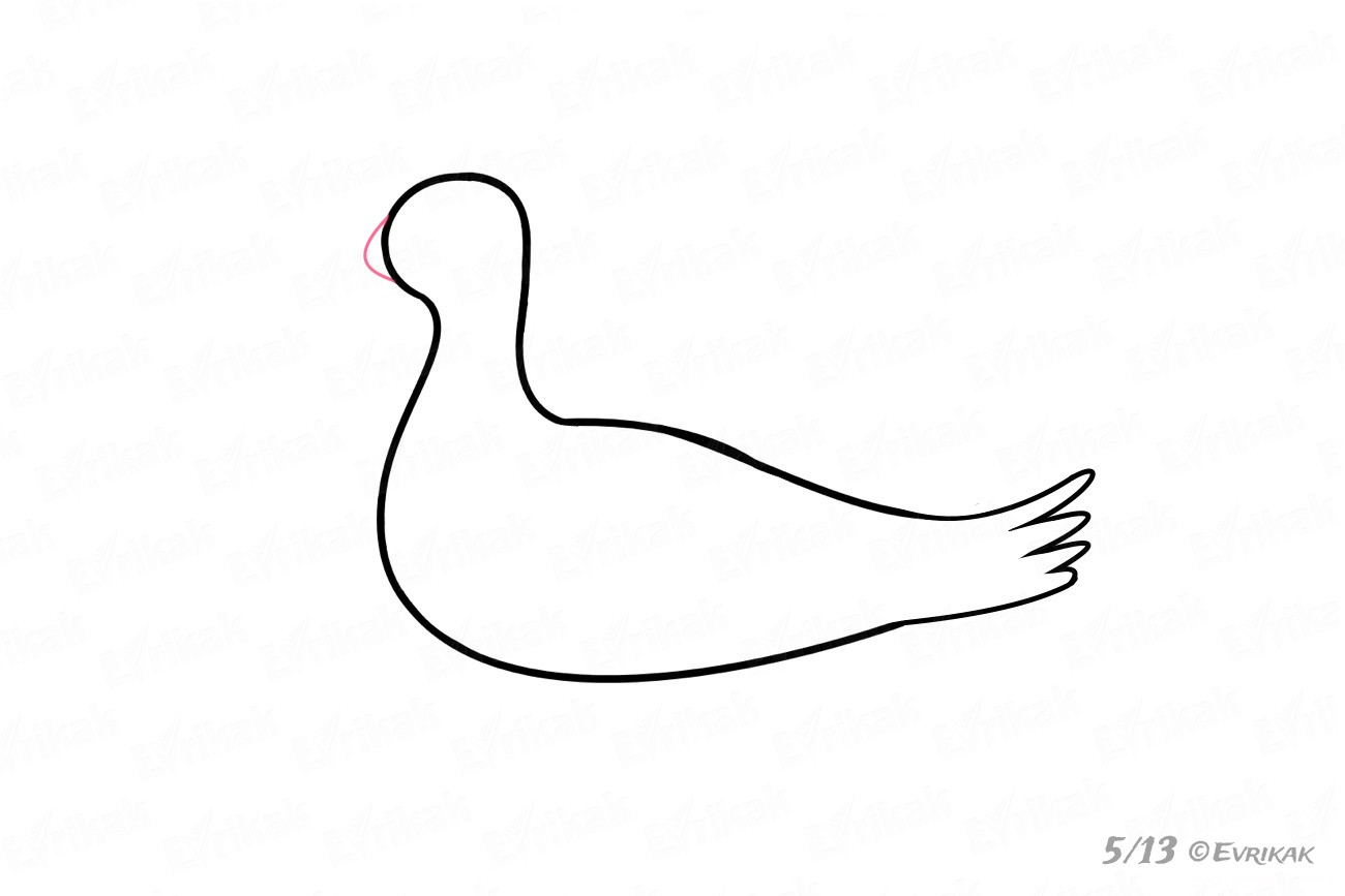 Как пошагово нарисовать чайку