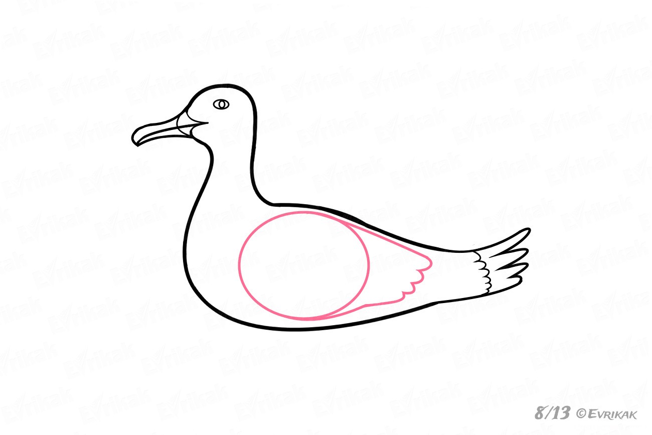 Как пошагово нарисовать чайку