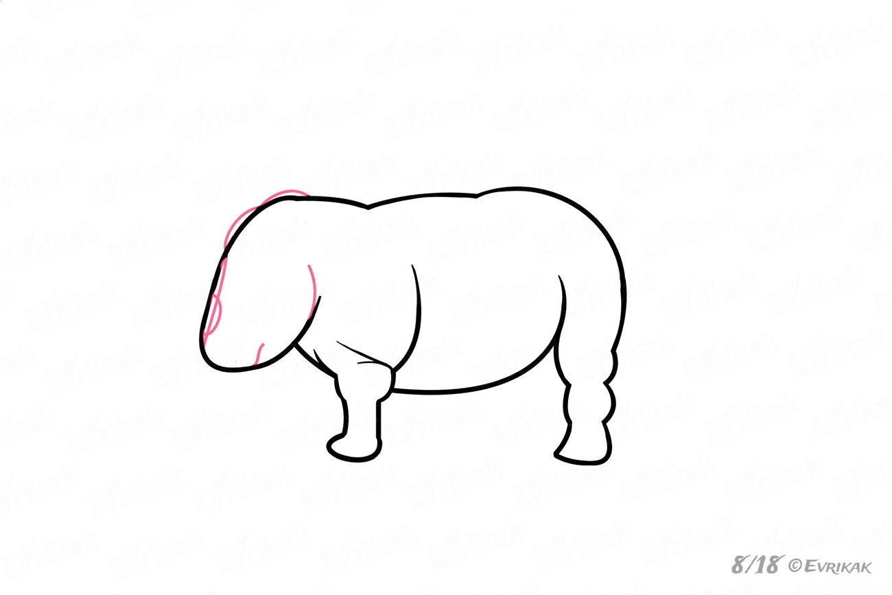 Как пошагово нарисовать носорога