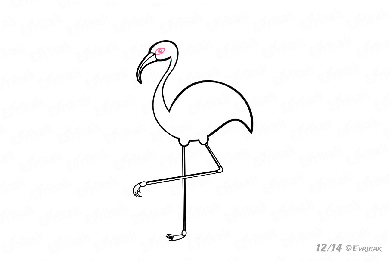 Как нарисовать розового фламинго