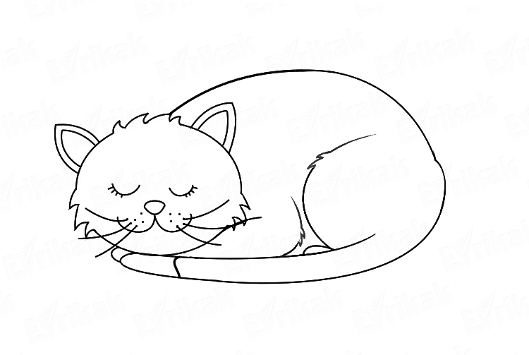 Раскраска Спящий котенок