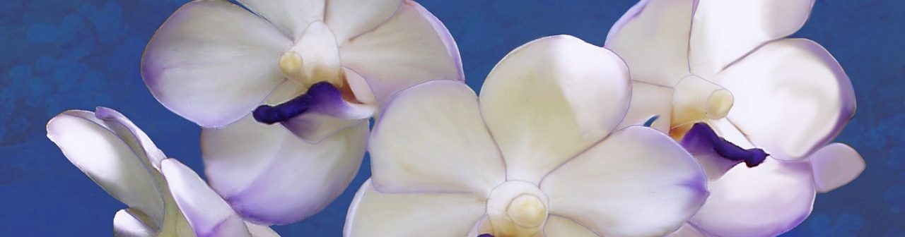 Орхидея Ванда: выращивание и уход от А до Я