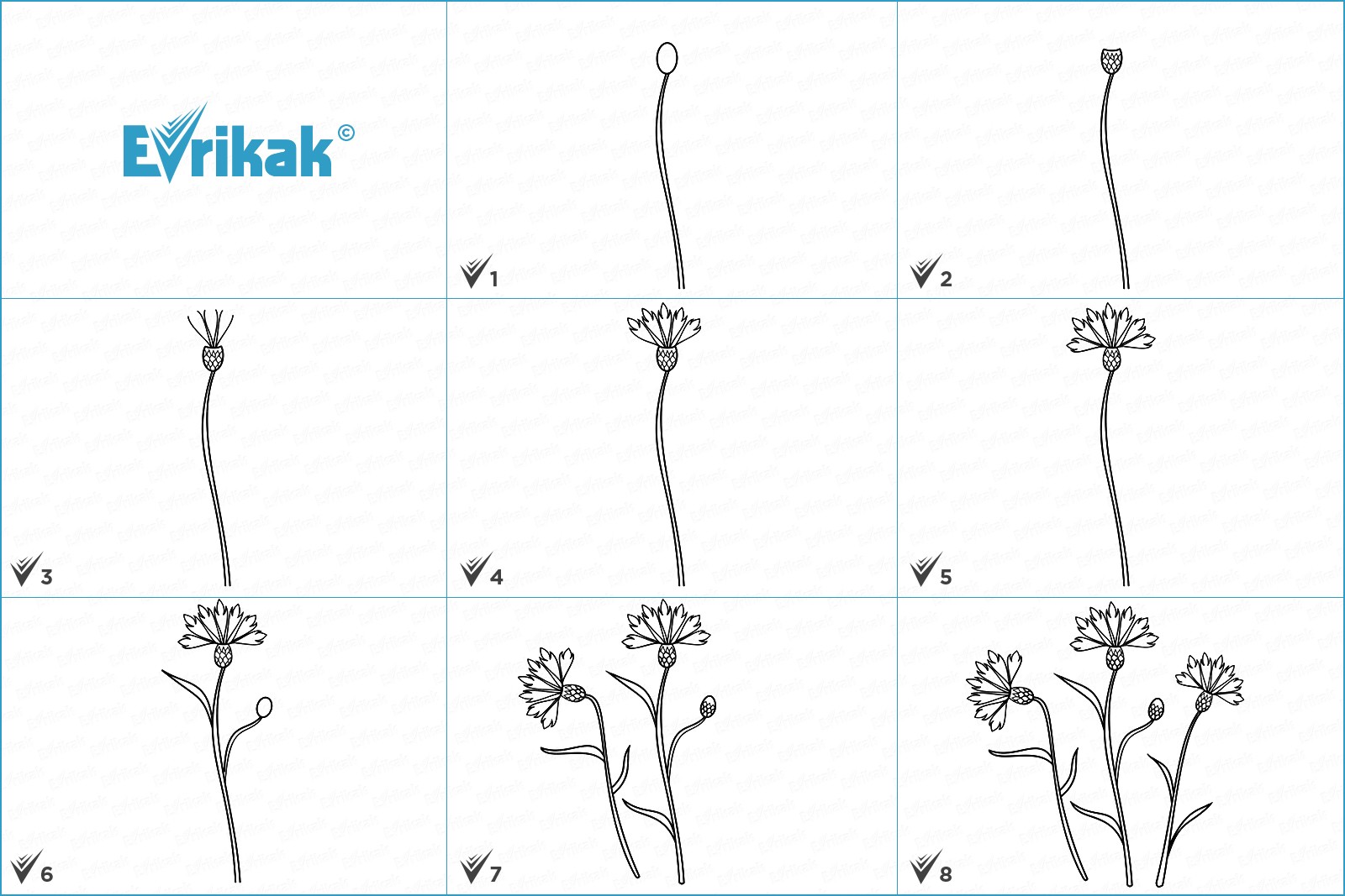 Как нарисовать цветы васильки