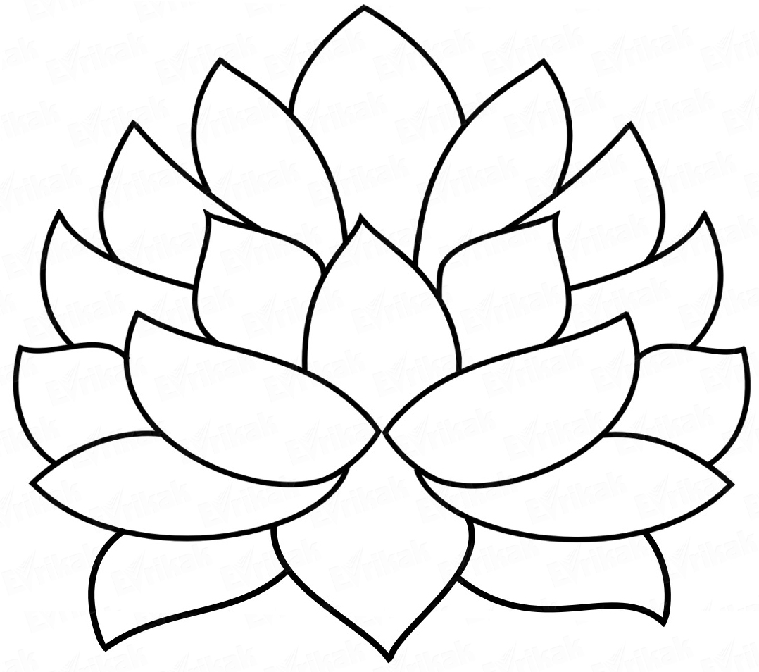 Раскраска Цветок лотоса